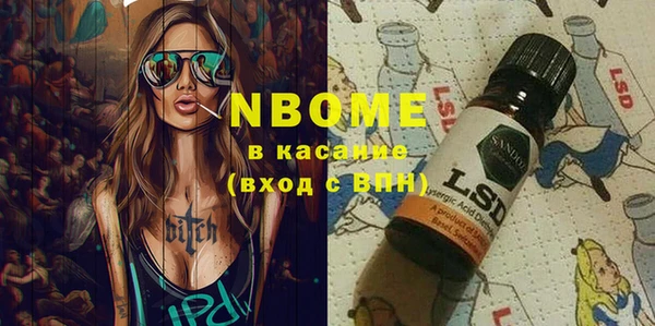 индика Костерёво