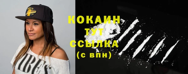 индика Костерёво