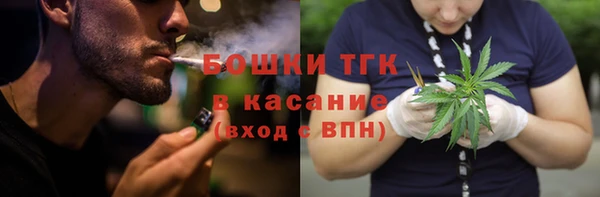 индика Костерёво