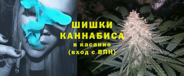 индика Костерёво