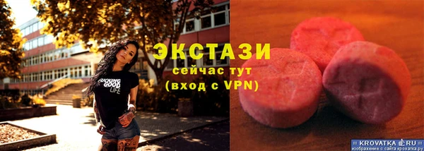 индика Костерёво