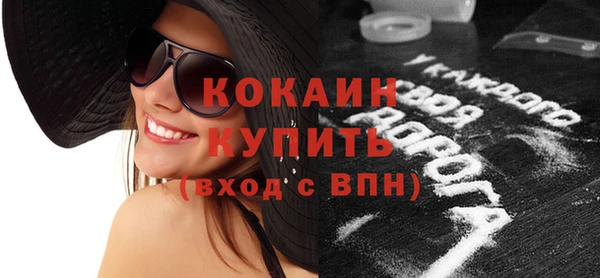 индика Костерёво