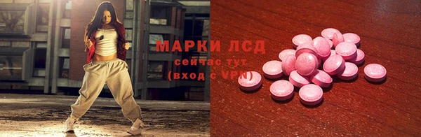 индика Костерёво